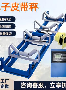 矿用防爆电子皮带秤 定量给料机自动喂料机 ICS-ST矿用电子皮带称