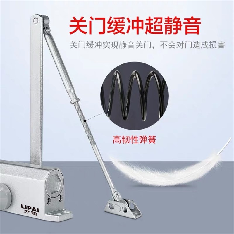 力拍02闭门器 单元门防火门楼宇门定位/不定位自动特大号关门器