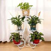架落地式 铁艺多层架室内阳台客厅绿萝多肉多功能省空间架几