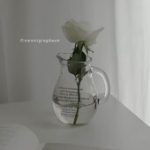 法文字母玻璃插器 温柔生活 民宿装 无味欢 饰瓶 大容量把手杯