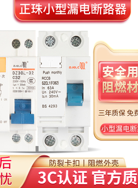 正珠DZ30LE-32家用小型漏电保护器断路器DPN空气开关双进双出双线