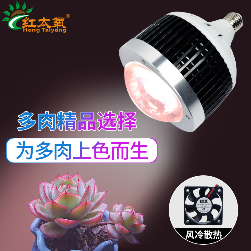 全光谱多肉补光灯球泡筒灯家用室内绿植花卉上色光照灯植物生长灯