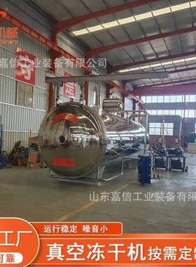 大型猕猴桃冻干机水果蔬菜冻干设备500kg食品茶叶冷冻干燥机定制