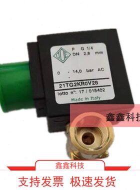 ODE原装电磁阀21TG2KR0V28进口电磁阀G1/4黄铜电磁阀21TG2KR0V40