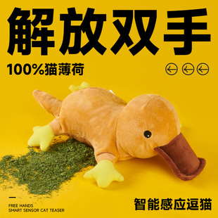 电动猫玩具自嗨解自动逗猫棒智力猫薄荷仿真鱼益智互动猫咪用品