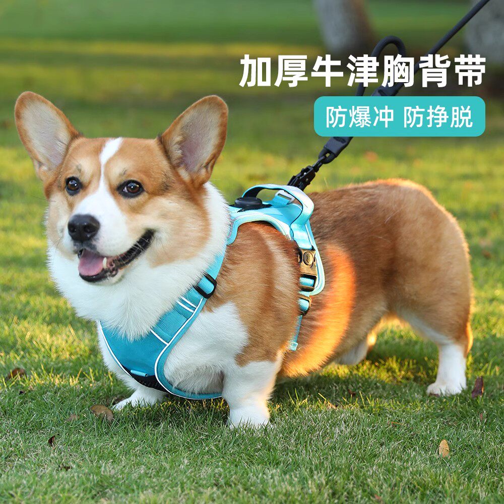 德国进口狗狗牵引绳背心式胸背带中大型犬防爆冲宠物遛狗绳子狗链
