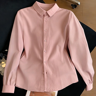 新款 法式 2026春季 衬衫 休闲风显瘦上衣 简约气质设计感蓝色翻领长袖