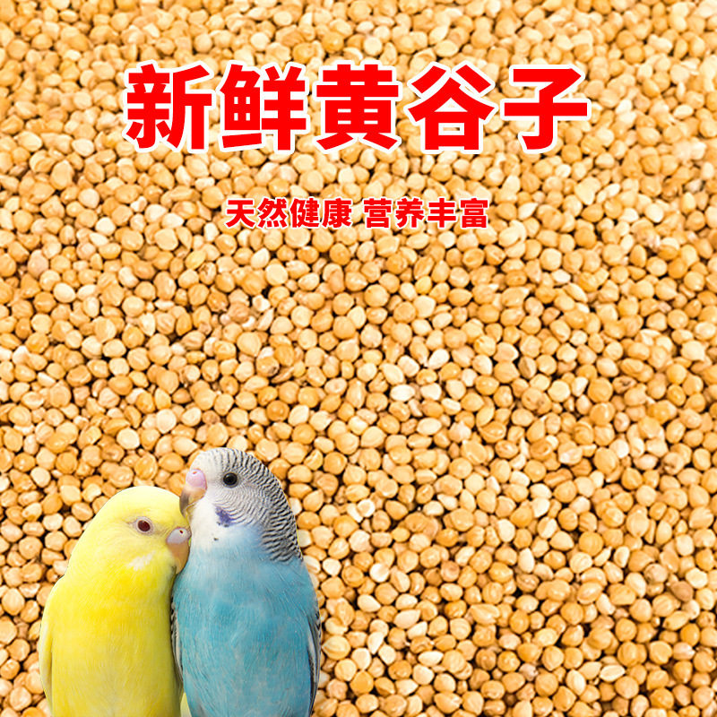 谷子新黄5斤小米鸟粮虎皮玄凤食