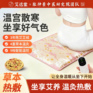 艾远堂电加热艾灸坐垫艾草艾绒艾灸随身灸秋寒护腰臀发热仪坐灸垫