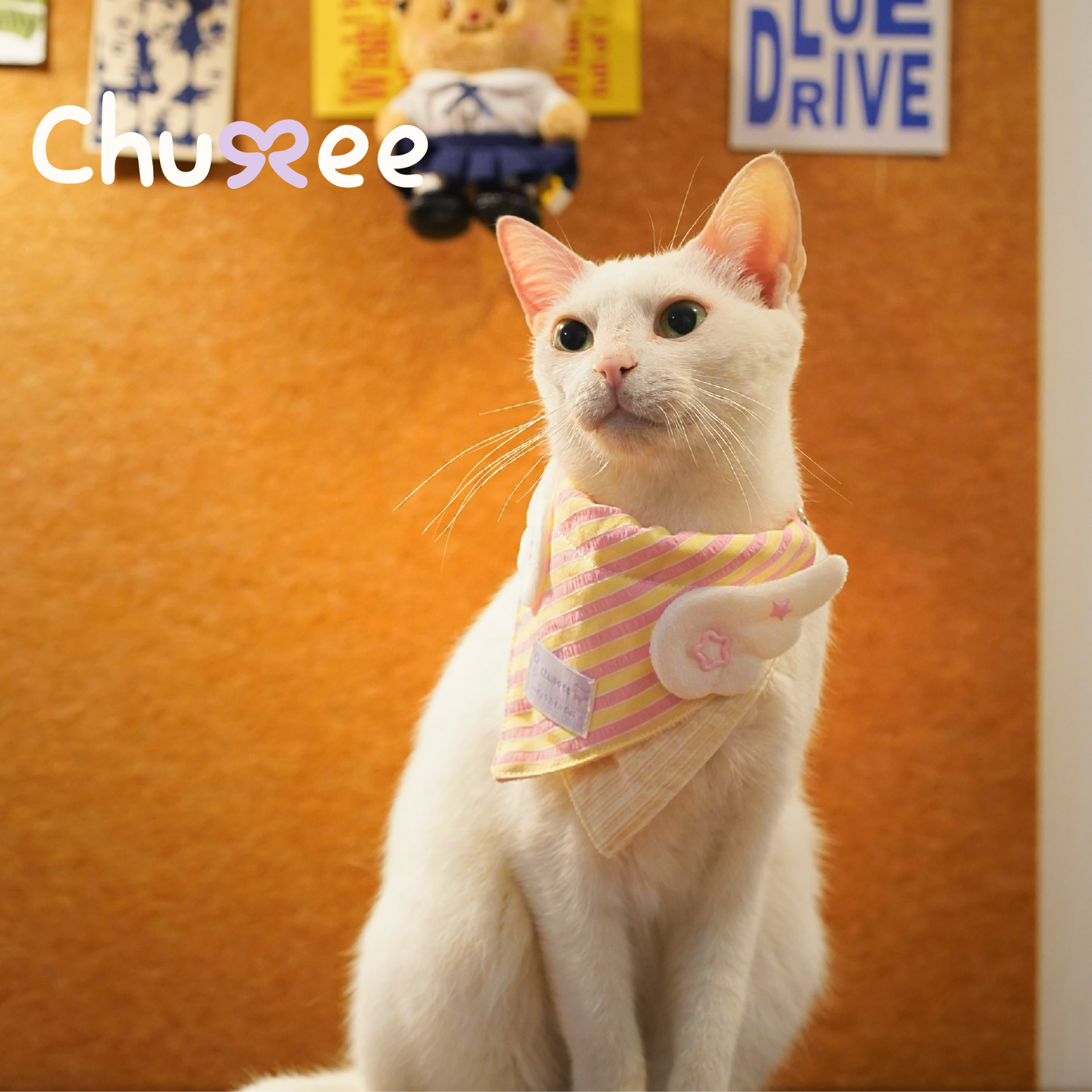 Chumee猫咪条纹宠物口水巾可牵引围兜英短美短德文布偶短毛猫,宠物/宠物食品及用品,围巾/口水巾,淘宝优惠券,粉丝福利购,淘宝优惠卷