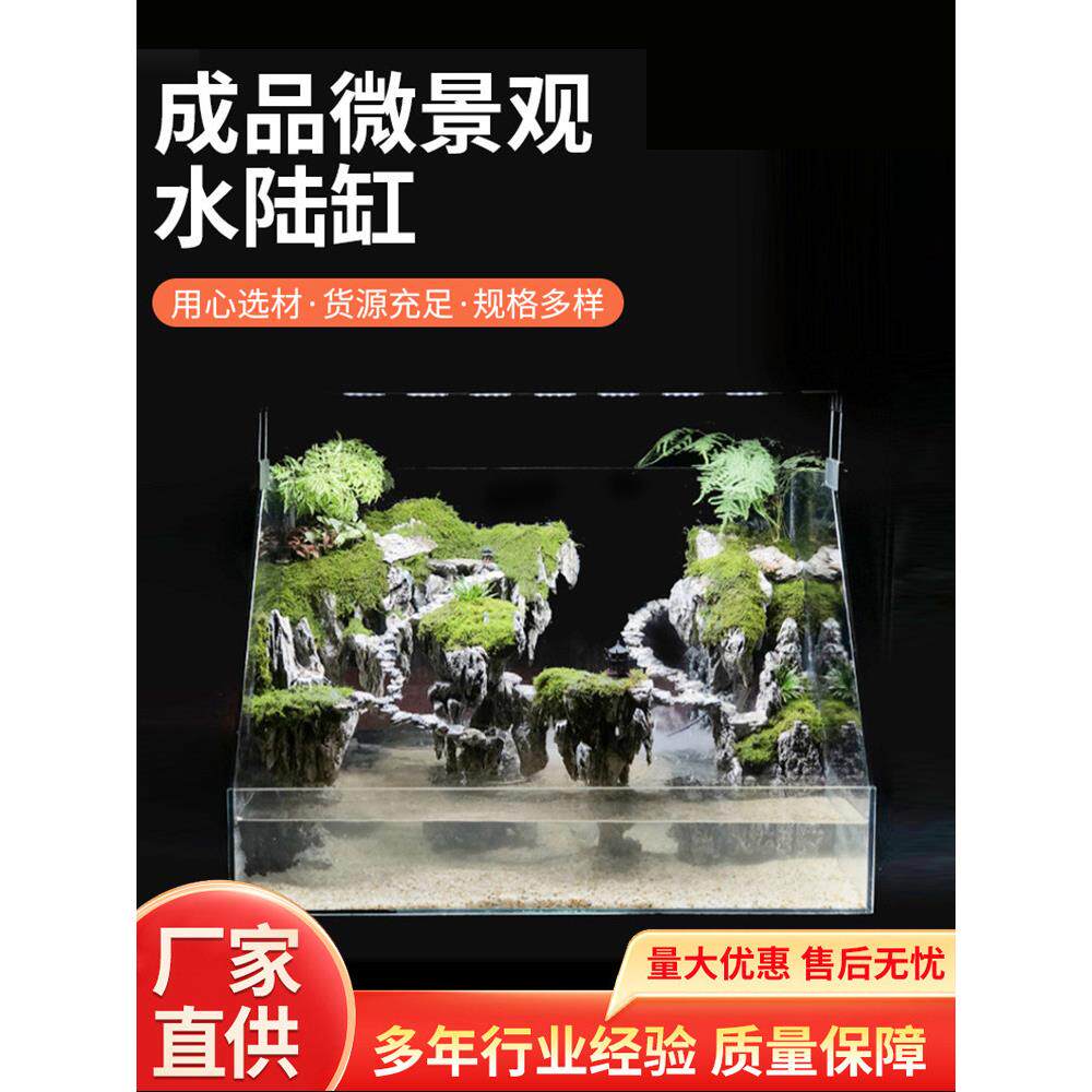 水陆两栖缸烟火造景植物造景雨林缸乌龟景观悬浮景观斜口玻璃缸