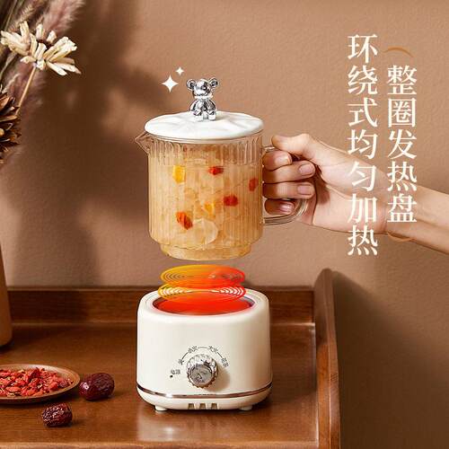 养生壶小型办公室迷你电炖杯女士一人养生杯家用多功能保温煮茶壶