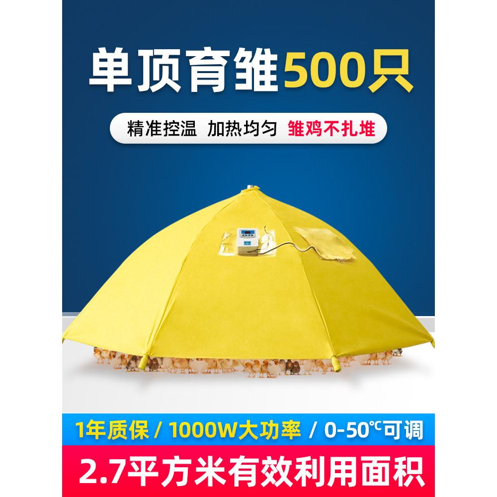 育雏箱芦丁鸡育雏器育雏伞小鸡培养箱电热伞温控器保温伞温控器养