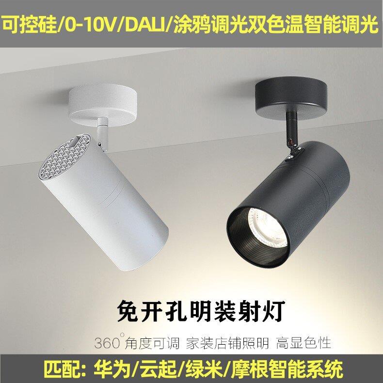 智能调光0-10V明装轨道灯服装店商用半导体控制整流器DALII射灯调