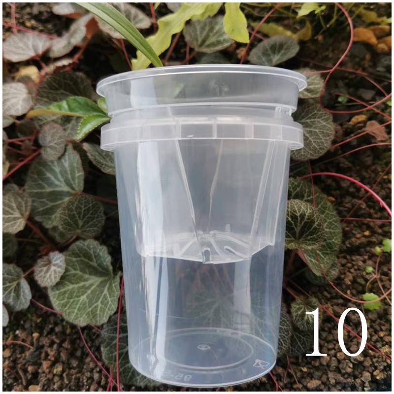 蝴蝶兰花盆套盆半水培器皿绿植双层套装透明懒人自吸水专用储水盆