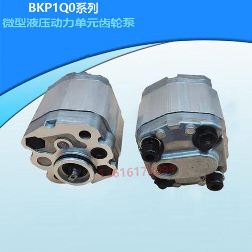 定制微型齿轮泵BKP1QOS0.8/S1.1/S1.6/S2.1/S2.7/S3.2/S4.8/7G0L1