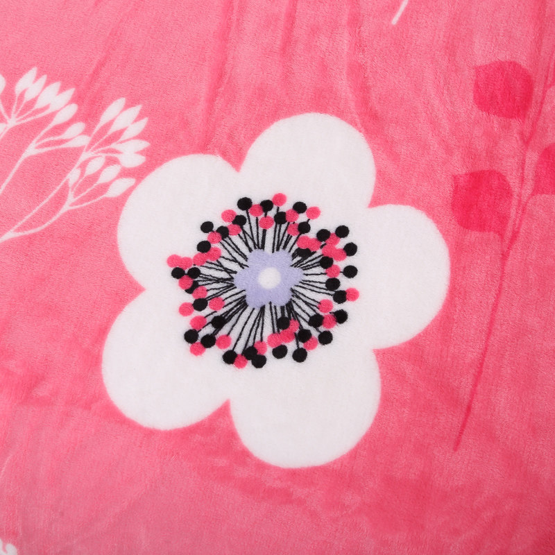 冬季铺床保暖加厚珊瑚绒毯子加大号床单大尺寸双人床法兰绒大毛毯