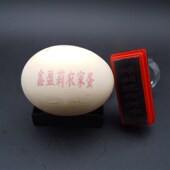 机器 机蛋壳打生产日期鸡蛋印字模打码 鸡蛋打码 机商标图案喷印喷码