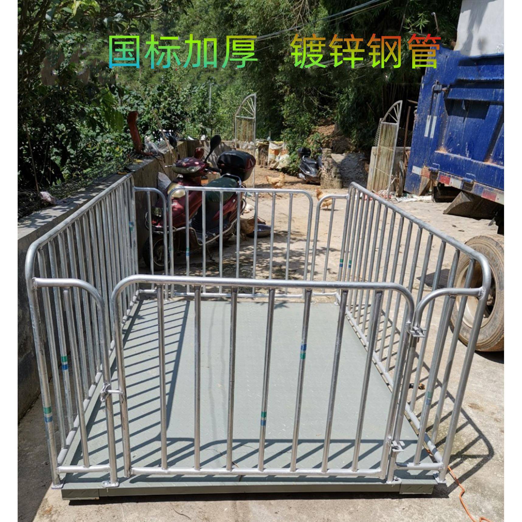 养猪场畜牧地磅卖猪秤畜牧秤