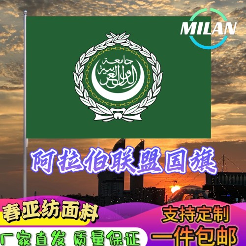 阿拉伯联盟国旗尺寸2345678号阿拉伯联盟手摇旗世界国旗外国国旗