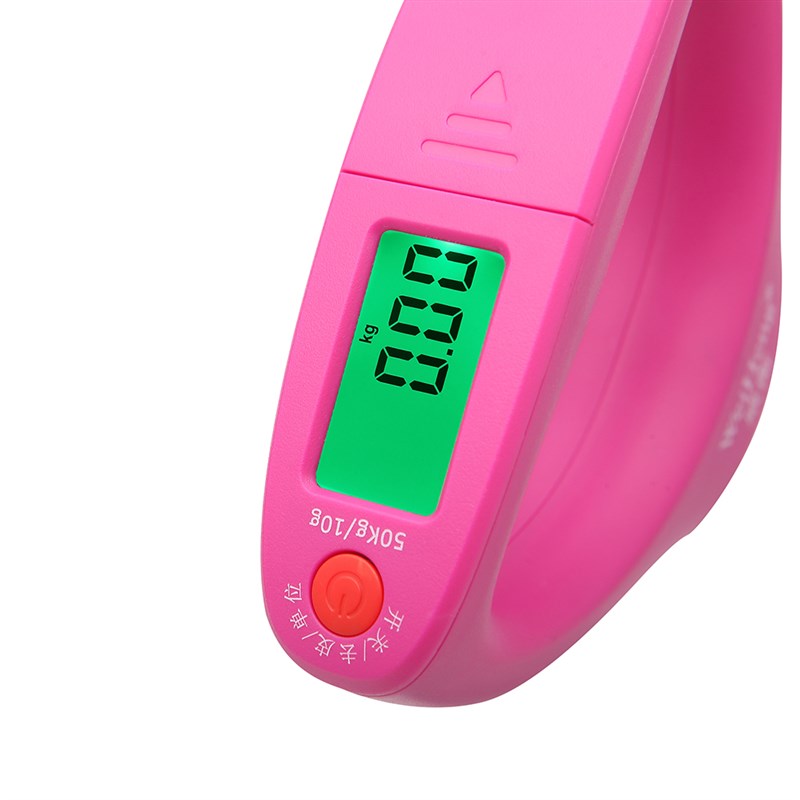 威衡高精度手提电子秤家用100斤小型便携式快递称挂钩买菜挂称