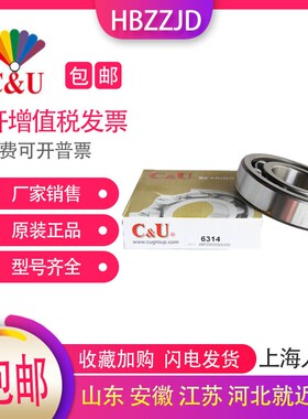 C&U人本高速电机轴承6312 6313 6314 6315 6316 6317 2RZ Z2C3 Z1