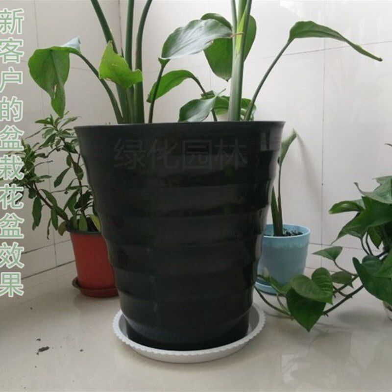 加厚加高塑料花盆仿陶瓷圆形螺纹树脂发财树绿萝特大号送托盘包邮