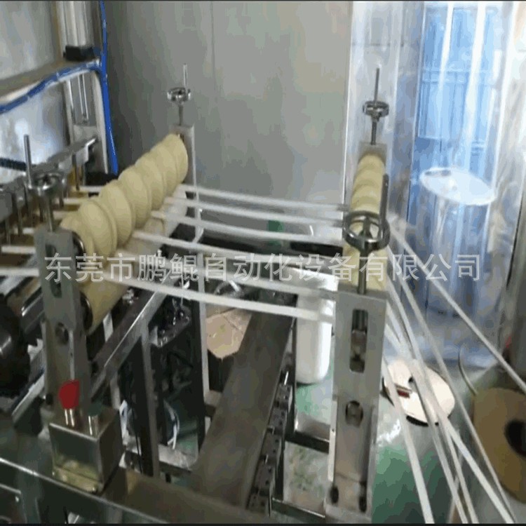 东莞鹏胜LED胶管手感油自动上下料喷漆设备LED胶管涂装设备厂家