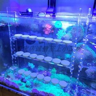 珊瑚断支架繁殖挂钩海缸硬骨软体挂缸壁亚克力繁殖断枝架珊瑚平台