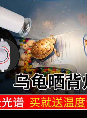 柏卡乐乌龟晒背灯太阳灯龟灯乌龟缸爬宠陆龟多角度调节加热保温灯