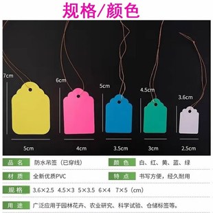 果树木植物吊牌带绳园艺标签牌防水塑料标记牌多肉吊签牌花卉挂牌