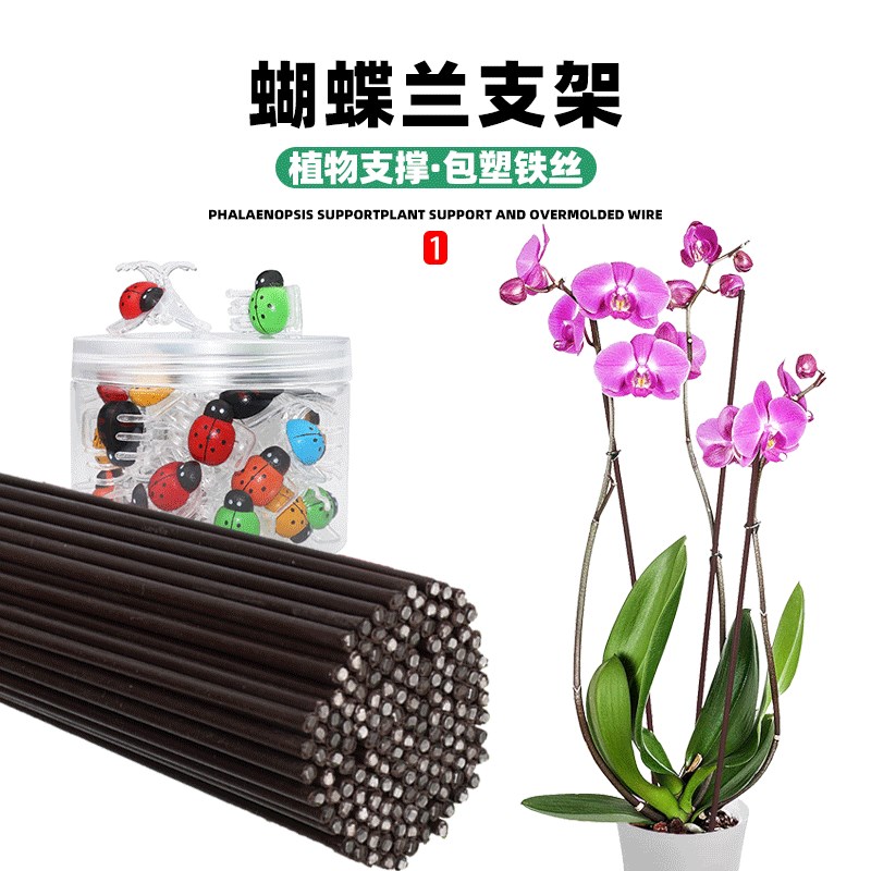 蝴蝶兰支架兰花支撑杆花固定夹爬藤植物花夹子蔓藤专用园艺防倒伏