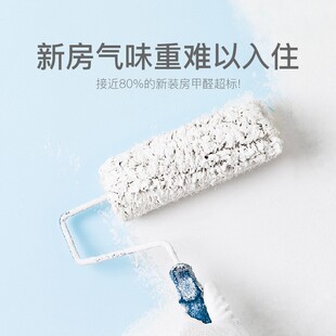 快活林放心炭车房两用活性炭去甲醛新房家用椰壳炭包新车碳包甲醛