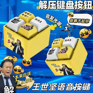 新款语音按键王世坚按钮挂件没出息音效会发光玩具创意整蛊钥匙扣