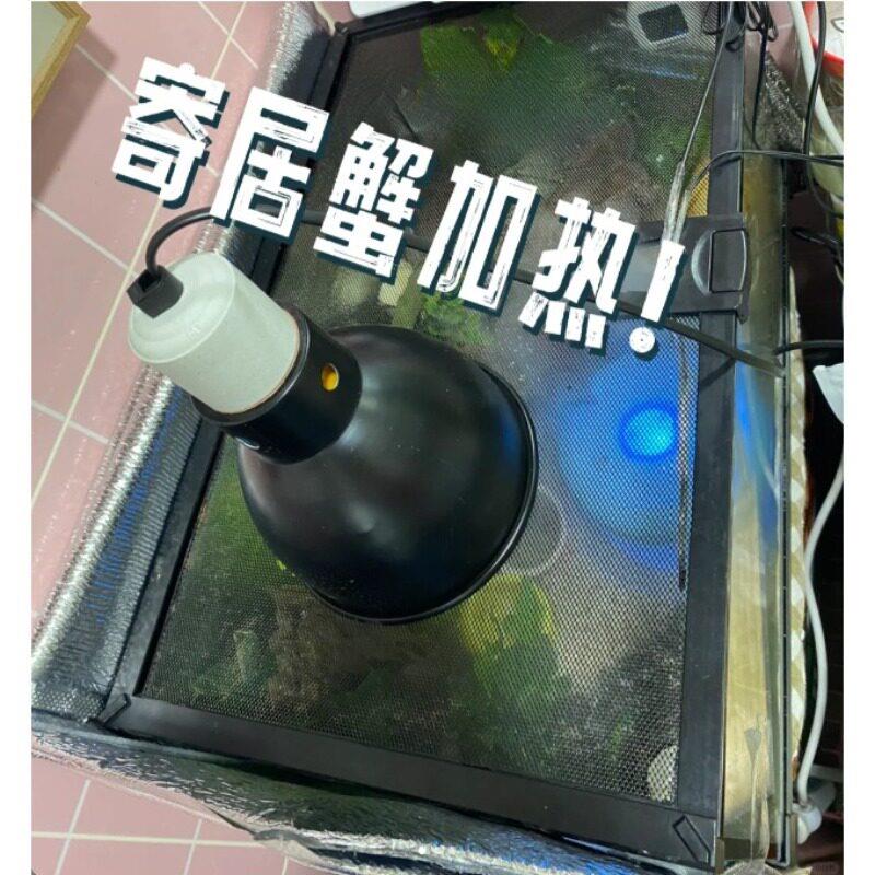 寄居蟹加热灯爬虫加热灯罩爬宠陆龟蜥蜴蛇晒背灯保温uva防烫uvb灯
