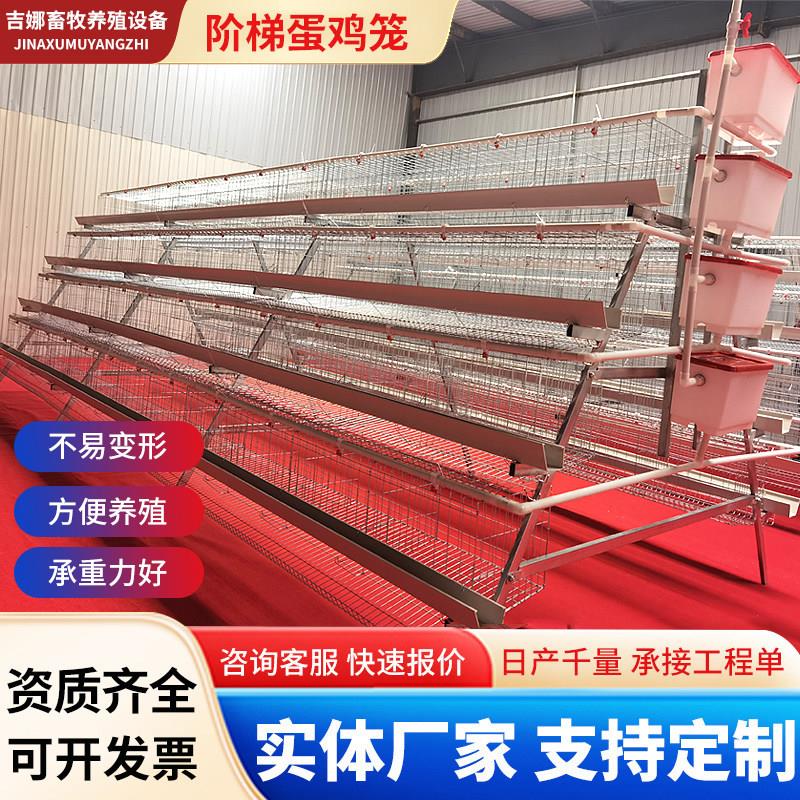 阶梯蛋鸡笼 热镀锌蛋鸡笼 3层4层蛋鸡笼 3层4门蛋鸡笼白槽绿槽