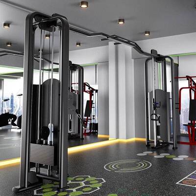 大飞鸟龙门架健身房小飞鸟rep引体向上器材多功能夹胸综合训练器