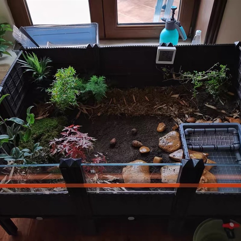 黄缘龟饲养箱安缘台缘闭壳半水龟专用生态造景植物环境养殖乌龟缸