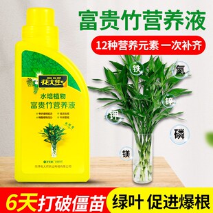 富贵竹营养液专用肥料观音转运竹龙水培植物通用水养专治黄叶生根