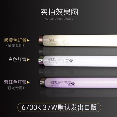NEC灯管鱼友汇 龙鱼彩蝶缸灯架灯 T8潜水灯灯套鱼缸6700K水族