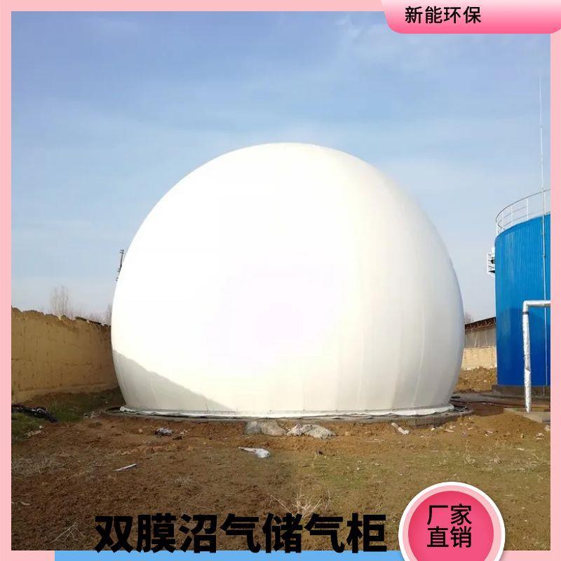 独立双膜气柜300方沼气储气柜养殖场造纸厂沼气储存设备