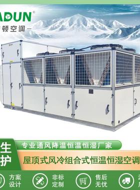屋顶式风冷直膨空调机组10HP15HP20HP25HP30HP40HP50HP