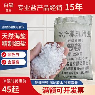 锦鲤用盐水产养殖用盐畜牧盐工业盐粗盐海盐日晒盐