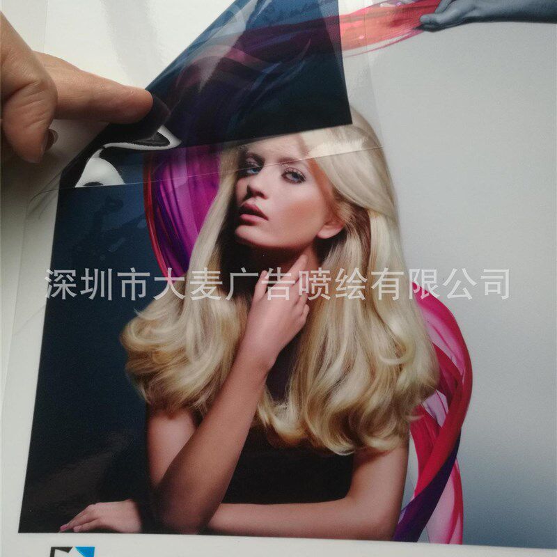 静电窗户贴纸 透光不透明装饰浴室玻璃膜兰花窗户膜贴花