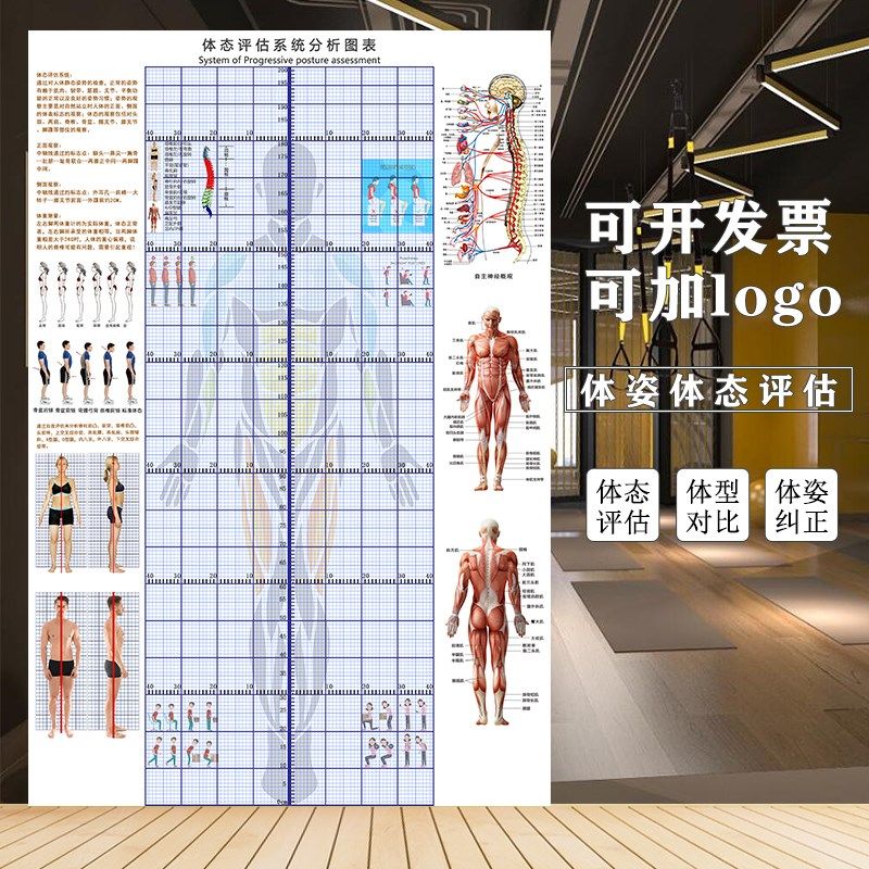 人体体态评估表健身房身体分析体测表墙贴瑜伽馆墙纸身体评估图