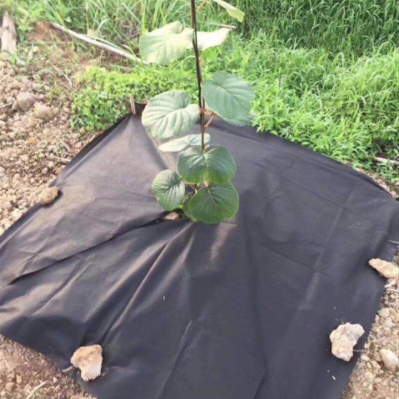 防草布除草布地布园艺地布抗老化抑草布果园防草S地布膜黑色除草