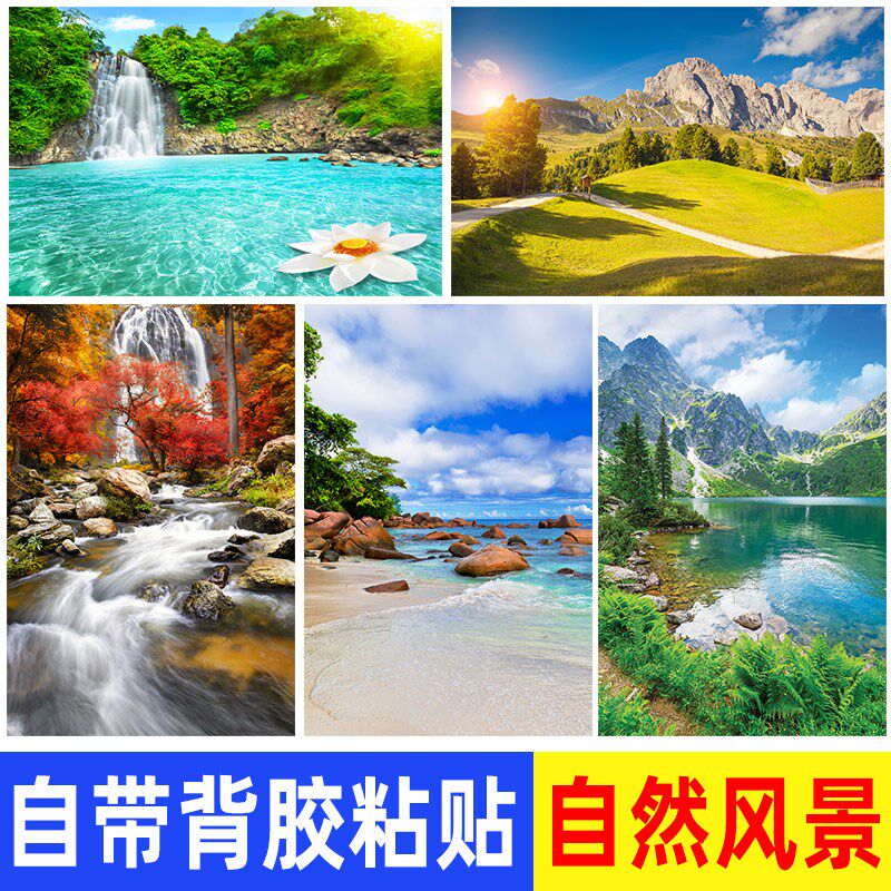 自然森林草原风景墙贴海报大海沙滩壁纸卧室客厅沙发背景装饰画