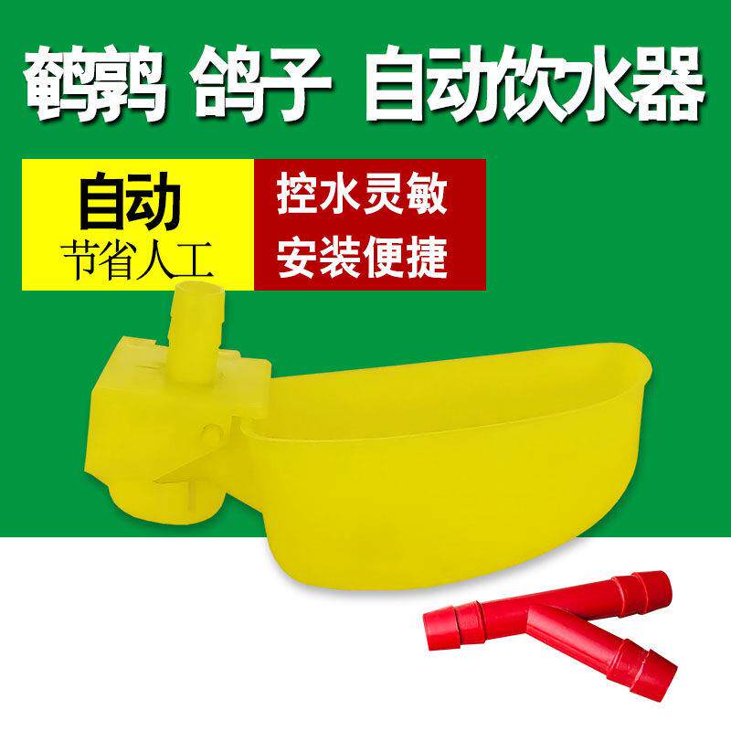 鹌鹑鸽鸟鸡用自动碗式饮水器饮水碗饮水杯鸽子饮水器鹌鹑饮水碗