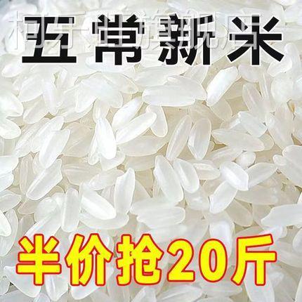 24年新米东北黑龙江五常大米稻香米5kg农家圆粒米10斤长粒米