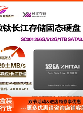 致钛/致态 SC001 PC005 256G 512GB SSD固态硬碟NVME桌上型电脑笔